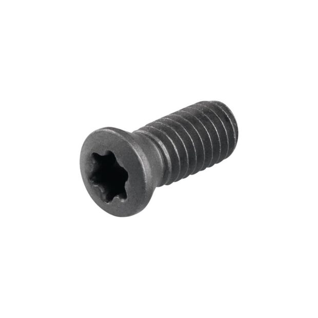 PROMAT Tensioning screw  WS0410 size T15