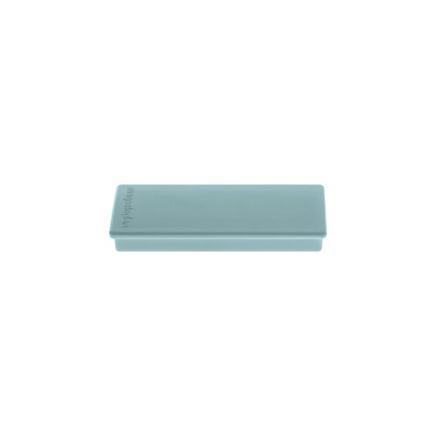 MAGNETOPLAN Rectangular magnet  W55 x D22 x T mm blue