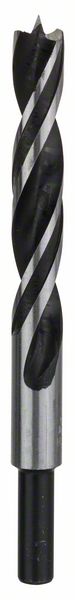 Robert Bosch Power Tools GmbH Standard brad point drill bits. For rotary drills/drivers