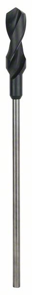Robert Bosch Power Tools GmbH Formwork and installation drill bits. For rotary drills/drivers