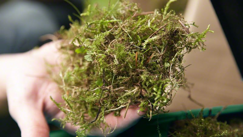 Robert Bosch Power Tools GmbH Lawn raker UniversalRake 900 - Image 4