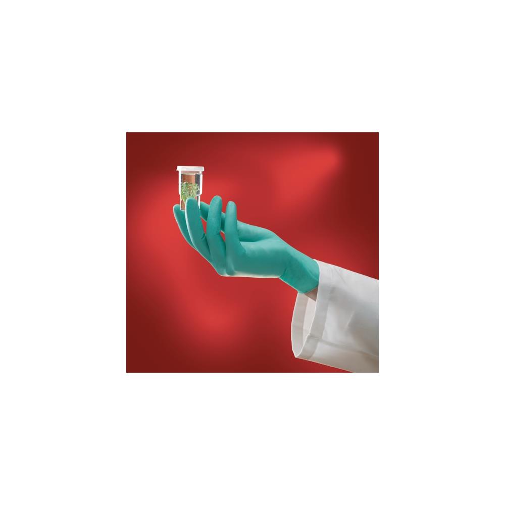 ANSELL Disposable glove Microflex NeoTouch® 25-101 size 6.5-7 light green neoprene EN 374 PPE category III